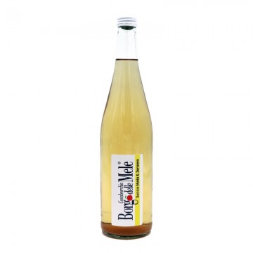 Apple and Ginger juice 0,75lt